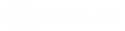 Odoo Grupo Ocalta